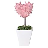 KOBE Flower smith ReiRi　プリザーブドフラワー ハートピアリー ピンク 送料無料