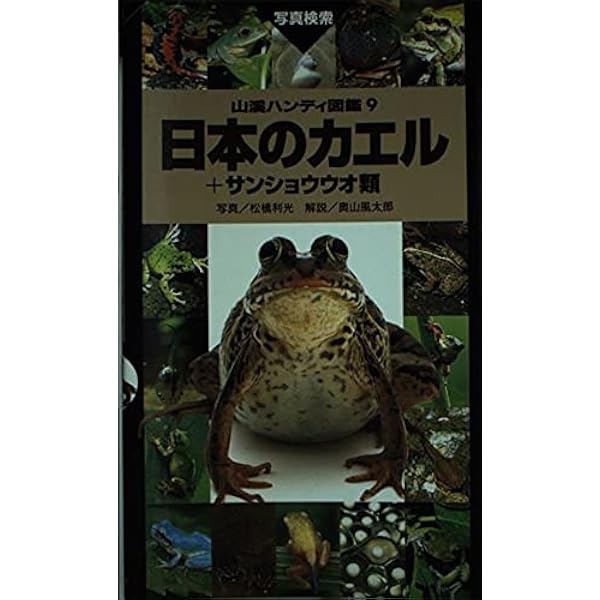 日本のカエル＋サンショウウオ類 増補改訂新版 (山溪ハンディ図鑑
