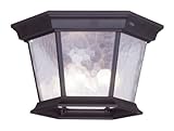 Livex Lighting 7510-07 Hamilton 3 Light Outdoor Ceiling Mount, Bronze by Livex Lighting