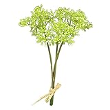 スキミアピック(3本) FXFPL0003G/W