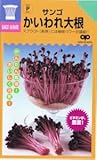 【種子】かんたんスプラウト サンゴ かいわれ大根 35ml