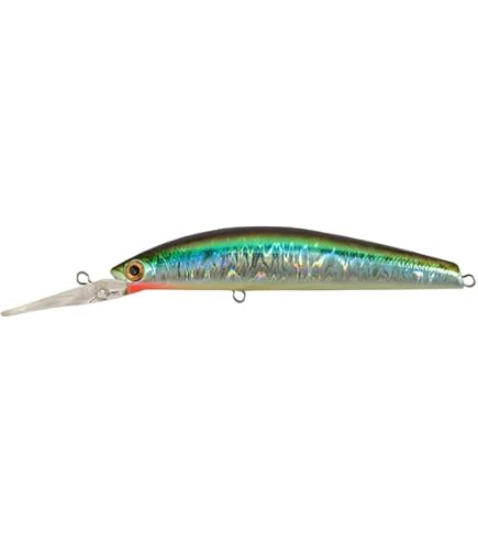 Amazon.co.jp: Bassday(バスデイ) ワーム シュガーディープ 110F H-363