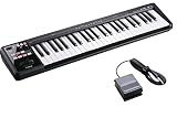 Roland ローランド/A-49 BK ブラック 【DP-2ペダルセット！】 49鍵盤MIDIキーボード