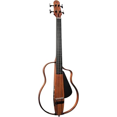 Amazon.co.jp 売れ筋ランキング: アコースティック・エレアコベース の