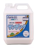 和信ペイント AQRX №3350 サンディング 4L