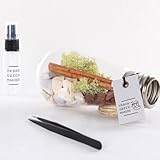 BULB TERRARIUM KIT No.07 カスタマイズテラリウムキット URBAN GREEN MAKERS(アーバングリーンメーカーズ)