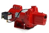 Red Lion RJS-100-PREM 602208 Premium Cast Iron Shallow Well Jet Pump [並行輸入品]