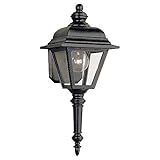 Sea Gull Lighting 8812-12 Outdoor Wall Light, Black [並行輸入品]