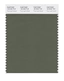 PANTONE SMART 18-0420X Color Swatch Card, Four Leaf Clover [並行輸入品]