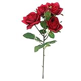 ローズスプレーメンフィス×5 FXFR0022RED