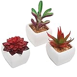 MyGiftミニチュア人工多肉植物with Ceramic Pots、3のセット、レッド