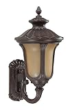 Nuvo Lighting 60/3905 Beaumont Outdoor Small Wall Lantern Arm Up with Photocell, Sienna Glass, Fruit