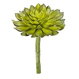 Darice Faux Extra Large Aeoniumグリーンロゼット