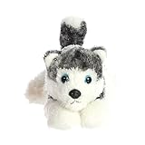 Mush Husky Mini Flopsie 8 by Aurora