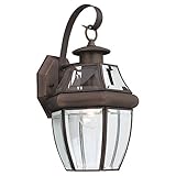 Sea Gull Lighting 8067-71 Single-Light Outdoor Lancaster Wall Lantern, Clear Beveled Glass and Antiq