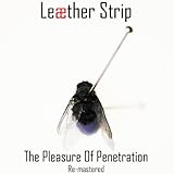 The Pleasure of Penetration (remastered)