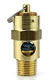 New 1/4 ASME Brass Safety relief Valve 100 PSI American made Compressed air pop off valve [並行輸入品]