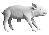 Areaware Bank in the form of a Pig HARPW