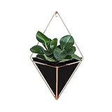 AWHAO 植物ハンガー プラントホルダー ハンギング 多肉植物 観葉植物 インテリア 飾り用 ブラック (12*18.5cm)