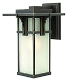Hinkley Lighting 2234OZ-LED Manhattan Outdoor 1-Light Lantern, Oil Rubbed Bronze [並行輸入品]