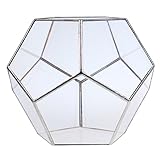 Dovewill ガラス製　テラリウム　 ガラスケース ディスプレイケース　多面体　　全２色３サイズ - S 　シルバー