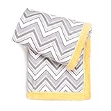 TadpolesポップコーンPlush and Sherpaウルトラソフトベビーブランケット One Size bblbvs023