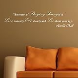 Pop Decors WL-0112-Va Inspirational Quote Wall Decal, The Secret of Staying Young [並行輸入品]
