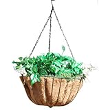 Austram-グリフィスクリークで31708 14をデザイン。ハイドパークはプランターグリーンハンギング