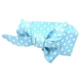 Liebeye ヘアバンド　ヘアアクセサリー　ベビー　幼児　赤ちゃん　かわいい　ドット柄　ちょう結び　ヘッドバンド　フープ　髪飾り C8ライトブルードット