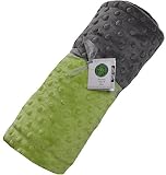 Cozy Wozy Signature Minky Baby Blanket, Apple Green/Charcoal Gray, 30 x 36 by Cozy Wozy