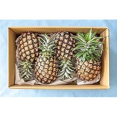 Amazon.co.jp 売れ筋ランキング: パイナップル の中で最も人気のある