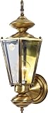 Volume Lighting V9152-7 Outdoor Wall Mount 1-Light, Solid Brass [並行輸入品]