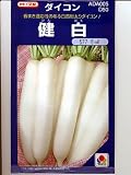 健白大根　　　タキイ種苗の大根種です