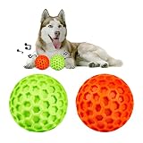 AUSCAT 犬 ボール いぬのおもちゃ 犬噛むおもちゃ 音が出る 「橙緑ボール 2点 セット L」 中大型犬 頑丈 天然ゴム 犬用玩具 ストレス解消