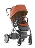 Joovy Qool Silver Single Stroller, Spice by Joovy [並行輸入品]