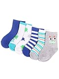 Zando SOCKSHOSIERY ベビー・ボーイズ US サイズ: M(1-3 years old)