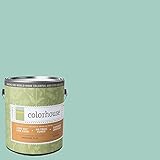 Inspired Flat Interior Paint, Water .07, Gallon [並行輸入品]