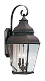 Livex Lightingエクセター10インチワイド3ライト屋外ウォールライト 2593-07 1