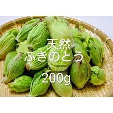 青森県産 天然 ふきのとう 4kg フキノトウの通販｜山菜｜食べチョク｜産地直送(産直)お取り寄せ通販