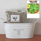 ルッコラ・ロケットの栽培セット/標準セット（液体肥料なし）プランターホワイト仕様