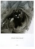 ストリートキャッツワールド1―増子正典写真集