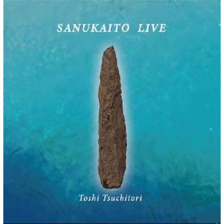 Amazon.co.jp: サヌカイト―古代石の自然律 [SHM-CD]: ミュージック