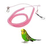 Non-brand 鳥用フライングトレーニングロープ 鳥リーシュ 鳥のおもちゃ 6M ランダム色 (6mm)