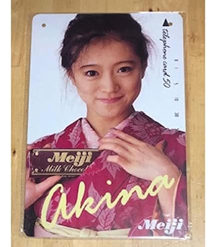 Amazon.co.jp: 【昭和の風情】昭和レトロ 松田聖子 ブリキ看板