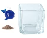 花市場直送便 ミニチュアガラス クジラB ディープブルー & カラーサンド ブラウン & 植え込み用グラス ニューブロックS