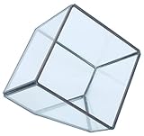 PL ディスプレイケース テラリウム キュービック ガラス 22388