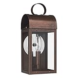 Weathered Copper Sea Gull Lighting One-Light Outdoor Wall Lantern シガル照明 [並行輸入品]