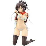 閃乱カグラ 飛鳥 命駆Ver. (1/7スケール PVC製塗装済完成品)