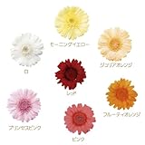 大地農園　ガーベラ　1輪 [レッド]【プリザーブドフラワー】【単品】