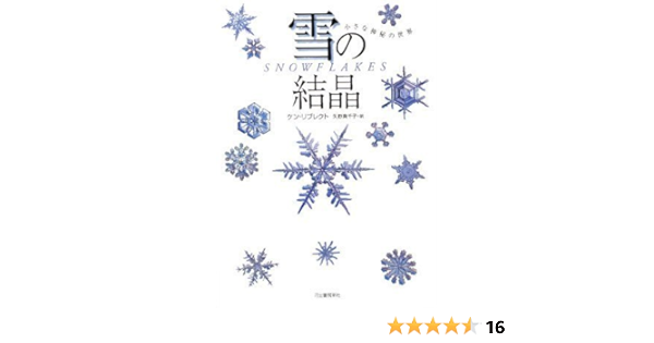 雪の結晶 ケン リブレクト 矢野 真千子 本 通販 Amazon